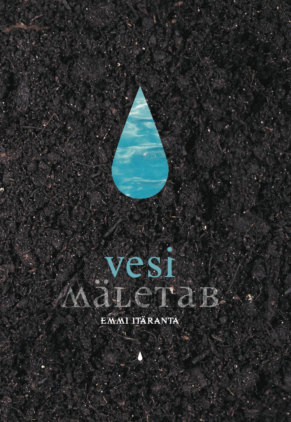 Vesi mäletab book cover